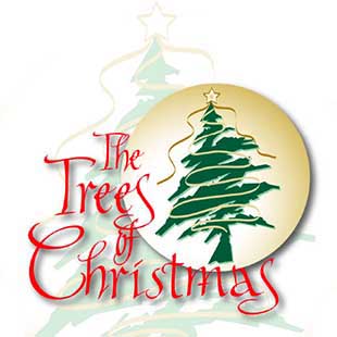 Childrens Christmas Service - Trees of Christmas