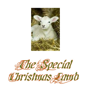 Childrens Christmas Service - Special Christmas Lamb