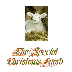 Special Christmas Lamb Christmas Program