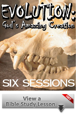 Free Sample Evolution Bible Study Samples