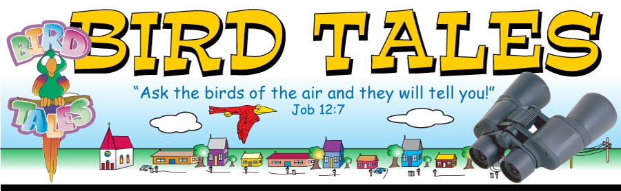 Bird Tales VBS