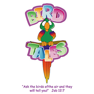 Bird Tales One Day Bible Camp Program